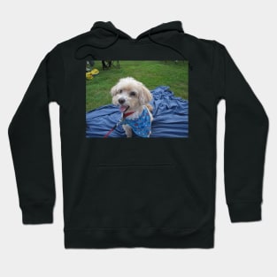 Friday Night Concert Series Hoodie